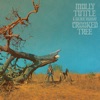 Flatland Girl - Molly Tuttle & Golden Highway
