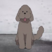 Makkachin