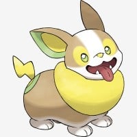 Yamper