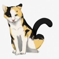 Scar from Angry Eagle