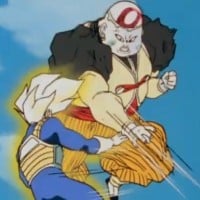 Goku and Vegeta vs. Android 19