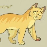 Sunstar (ThunderClan)
