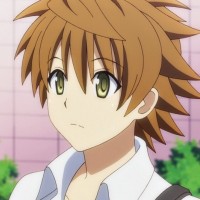 Wish Fulfillment Lead Protagonist