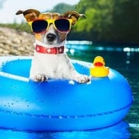 Announcements of longer summer vacation