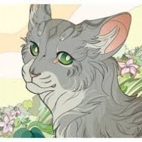 The Cat with 100 Kits