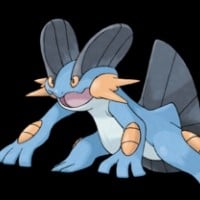 Swampert
