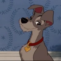 Tramp (Lady and the Tramp)