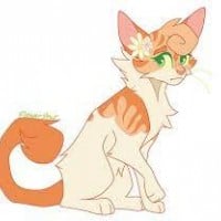 Flowerstar (SkyClan)