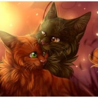 Bramblestar x Squirrelflight