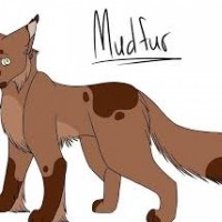 Mudfur