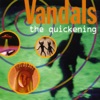 Aging Orange - The Vandals