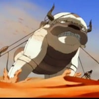 Appa's Lost Days