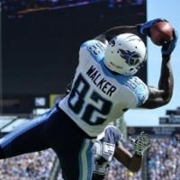 Delanie Walker