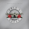 Knockin' on Heaven's Door - Guns N' Roses