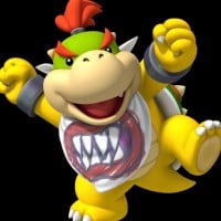 Bowser Jr. - New Super Mario Bros DS