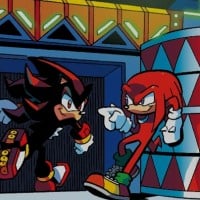 Shadow the Hedgehog and Knuckles the Echidna