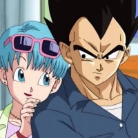 Vegeta & Bulma - Dragon Ball Z