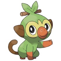 Grookey