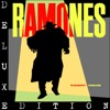 The KKK Took My Baby Away - The Ramones