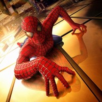 The Spider-Man Fandom