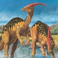 Parasaurolophus