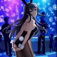 Rascal Does Not Dream of Bunny Girl Senpai