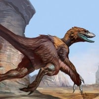 Deinonychus Antirrhopus