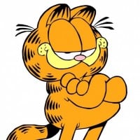 Garfield (Garfield)