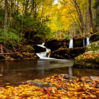 Great Smoky Mountains National Park
