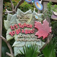It's Tough to Be a Bug! (Disney's Animal Kingdom)