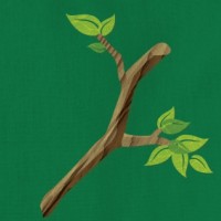 Tree Branch