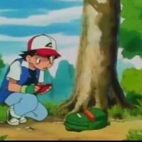 Ash is stupid in this season!