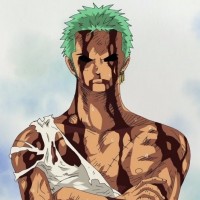 Roronoa Zoro's Sacrifice (Thriller Bark Arc)
