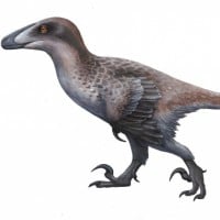 Deinonychus