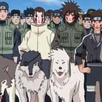 Inuzuka Clan