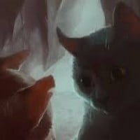 Brook Where Small Fish Swim