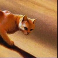 Sandstorm cheated on her final assessment