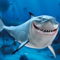 Bruce (Finding Nemo)