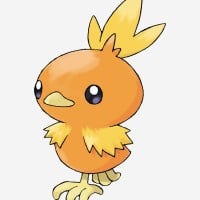Torchic