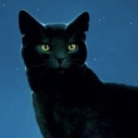Nightstar (ShadowClan)