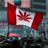 We smoke a lot of dope