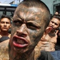 MS-13