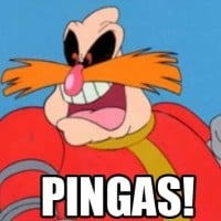 PINGAS