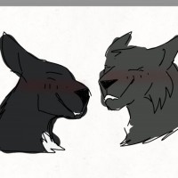 Hollyleaf & Ravenpaw