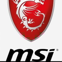 MSI