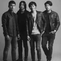 Callalily