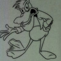 The Adventures of Paddy the Pelican