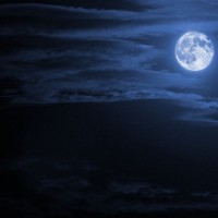 Work or play late into the night