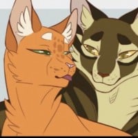 Brambleclaw x Squirrelflight