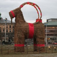 GÃ¤vle Goat